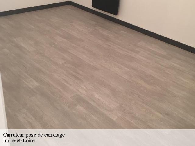 Carreleur pose de carrelage Indre-et-Loire