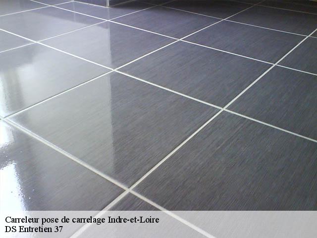 Carreleur pose de carrelage Indre-et-Loire