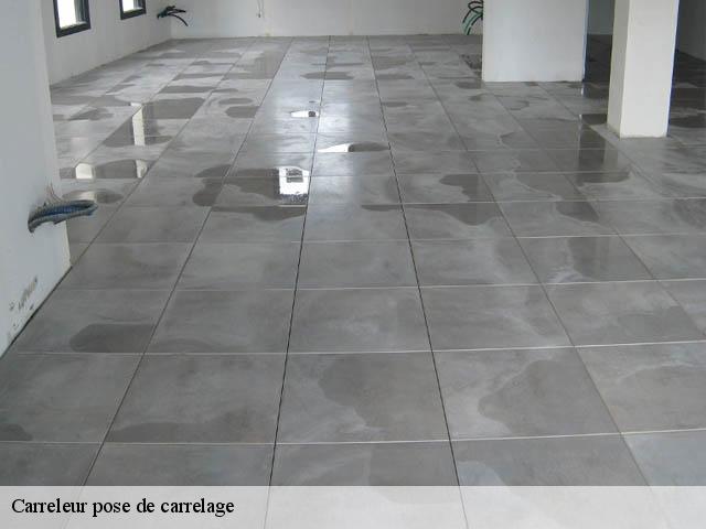 Carreleur pose de carrelage Indre-et-Loire