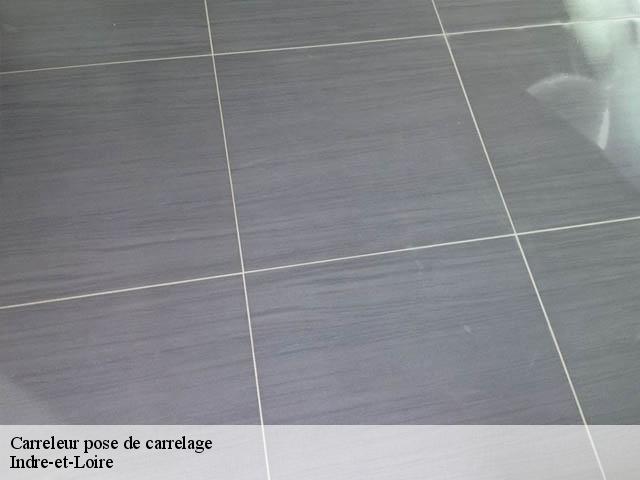 Carreleur pose de carrelage Indre-et-Loire