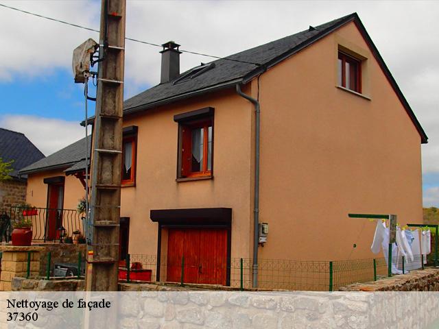 Nettoyage de façade 37360