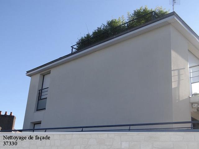 Nettoyage de façade 37330