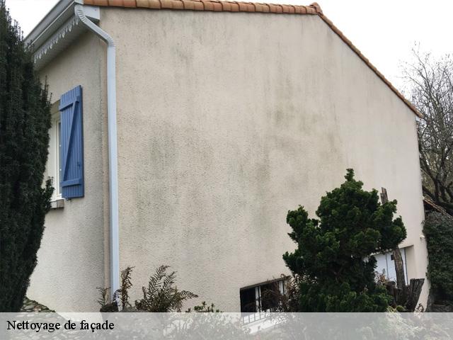 Nettoyage de façade 37330