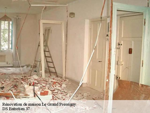 Rénovation de maison  le-grand-pressigny-37350 DS Entretien 37