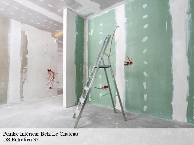 Peintre Intérieur  betz-le-chateau-37600 DS Entretien 37