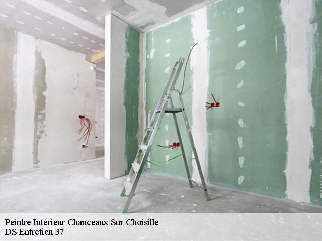 Peintre Intérieur  chanceaux-sur-choisille-37390 DS Entretien 37