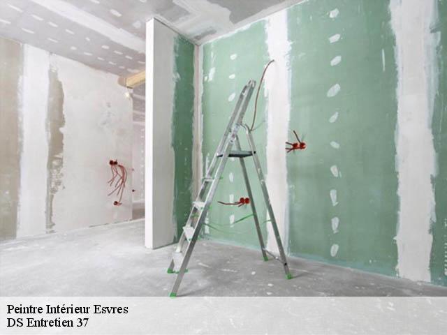 Peintre Intérieur esvres-37320 DS Entretien 37