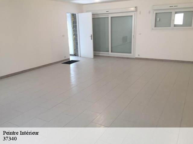 Peintre Intérieur 37340