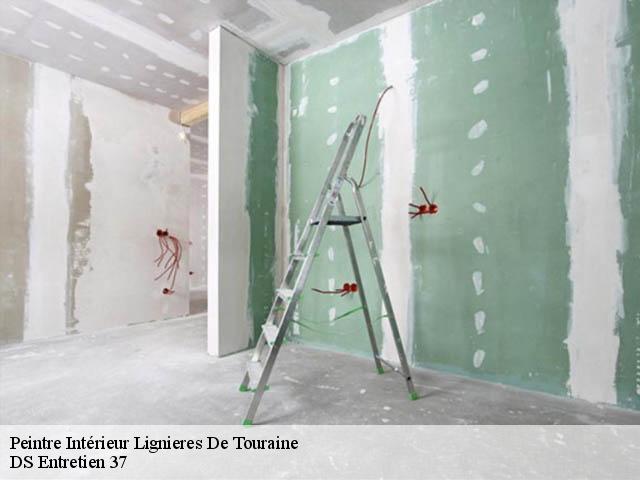 Peintre Intérieur  lignieres-de-touraine-37130 DS Entretien 37