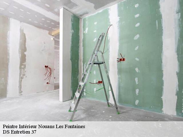 Peintre Intérieur  nouans-les-fontaines-37460 DS Entretien 37