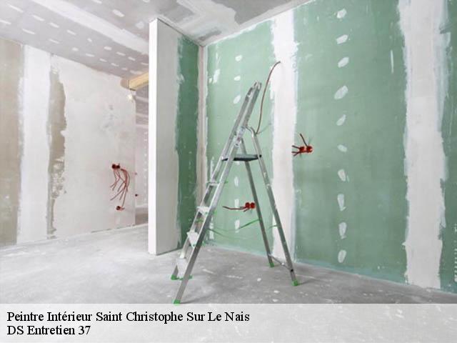 Peintre Intérieur saint-christophe-sur-le-nais-37370 DS Entretien 37