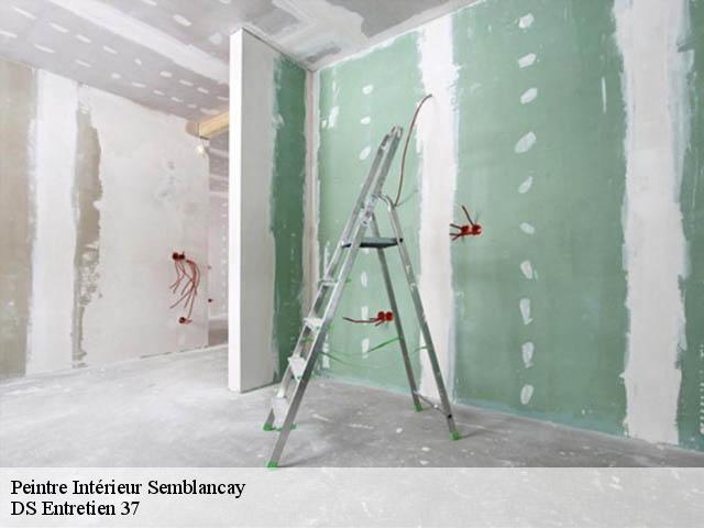 Peintre Intérieur semblancay-37360 DS Entretien 37