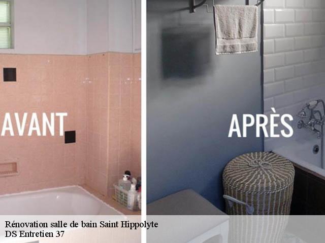 Rénovation salle de bain saint-hippolyte-37600 DS Entretien 37