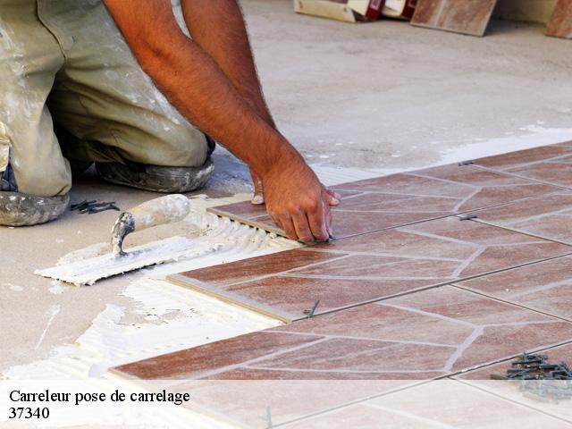 Carreleur pose de carrelage  37340