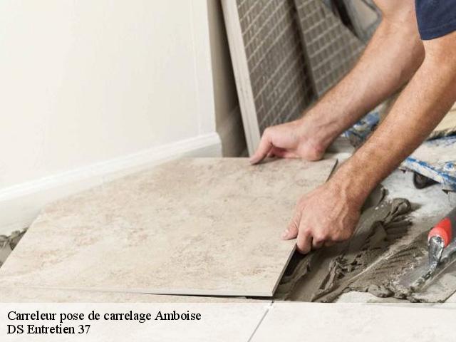 Carreleur pose de carrelage  37400