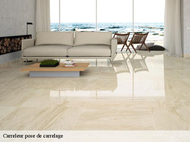 Carreleur pose de carrelage  37400