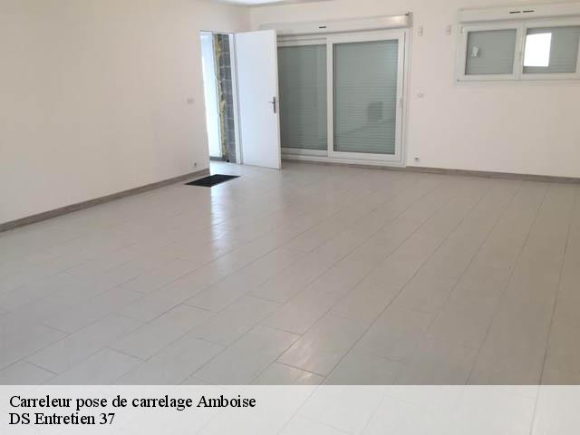 Carreleur pose de carrelage  amboise-37400 DS Entretien 37