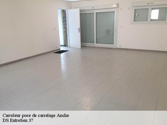 Carreleur pose de carrelage  anche-37500 DS Entretien 37