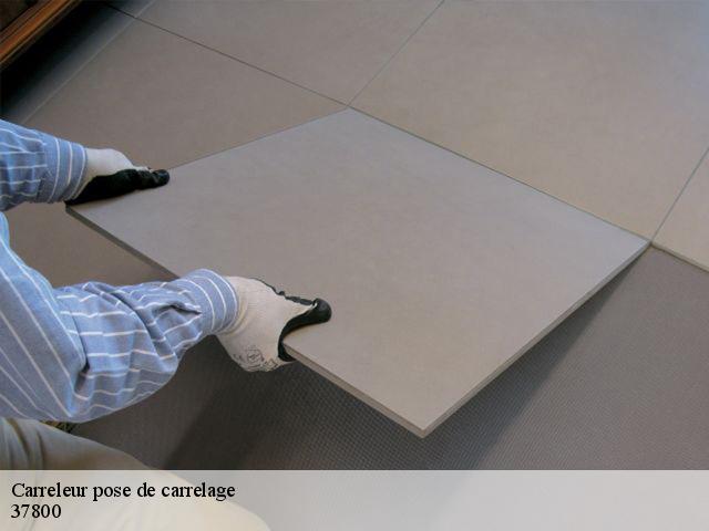 Carreleur pose de carrelage  37800