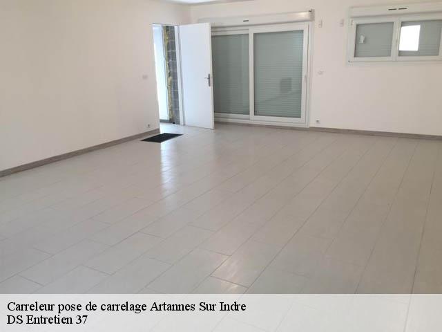 Carreleur pose de carrelage  artannes-sur-indre-37260 DS Entretien 37