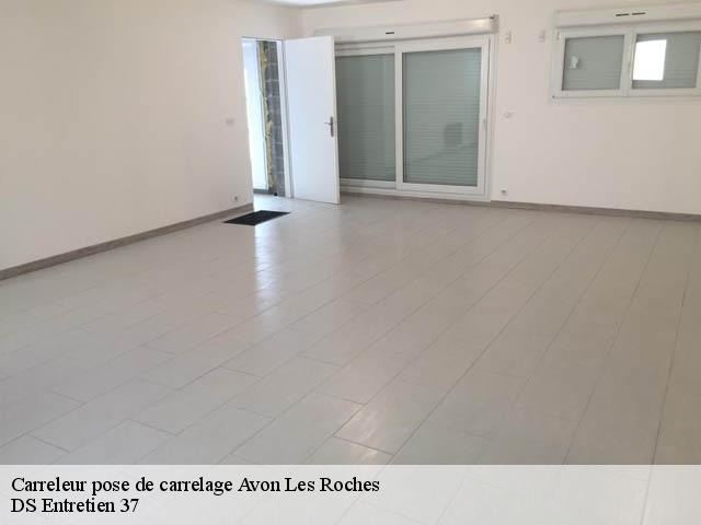 Carreleur pose de carrelage  avon-les-roches-37220 DS Entretien 37