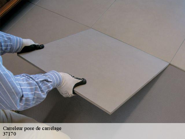 Carreleur pose de carrelage 37170