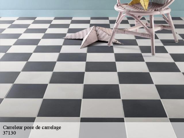 Carreleur pose de carrelage