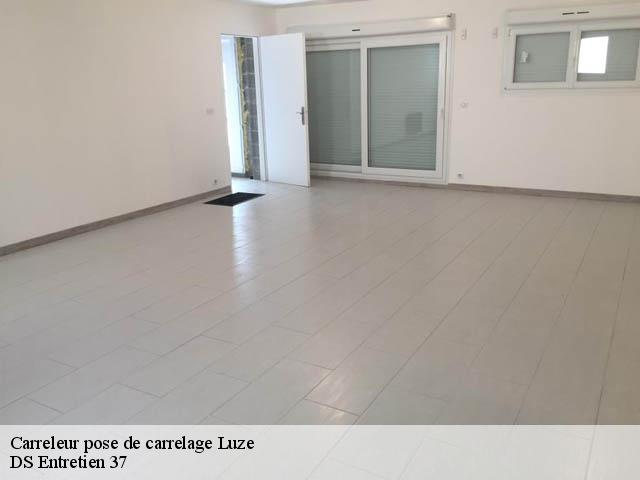Carreleur pose de carrelage luze-37120 DS Entretien 37
