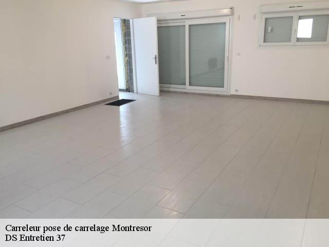 Carreleur pose de carrelage  montresor-37460 DS Entretien 37