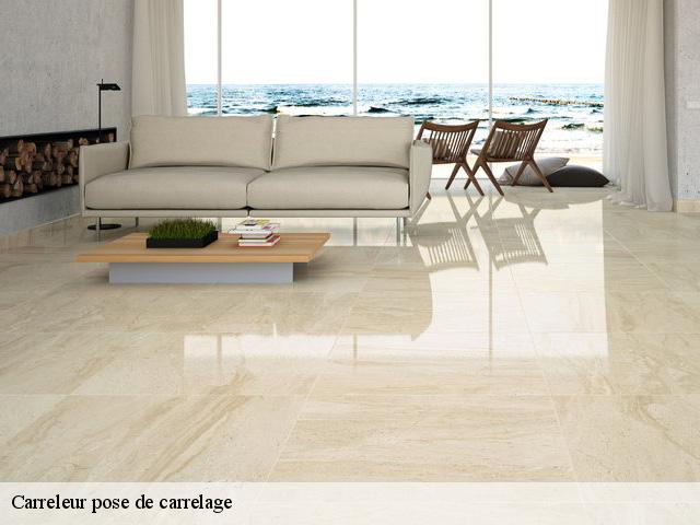 Carreleur pose de carrelage 37500