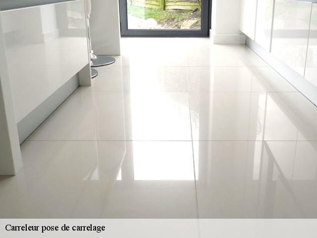 Carreleur pose de carrelage