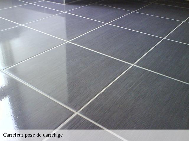 Carreleur pose de carrelage