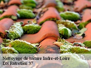Nettoyage de toiture 37 Indre-et-Loire  DS Entretien 37