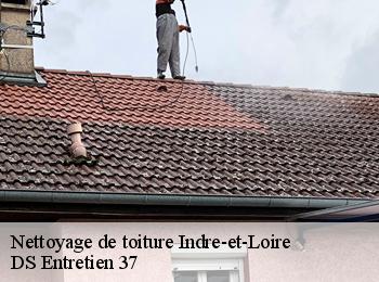 Nettoyage de toiture Indre-et-Loire 