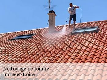 Nettoyage de toiture Indre-et-Loire 
