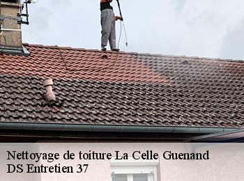 Nettoyage de toiture 37350