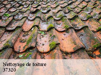 Nettoyage de toiture 37320