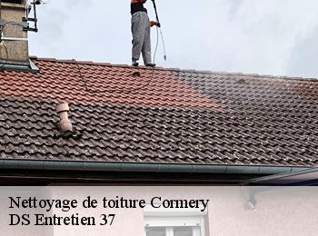 Nettoyage de toiture 37320