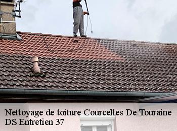 Nettoyage de toiture 37330