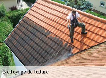 Nettoyage de toiture 37330