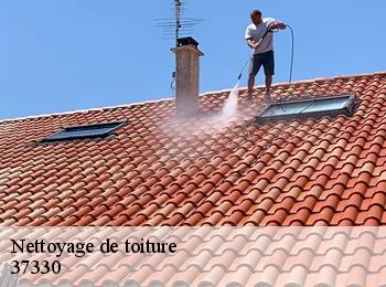 Nettoyage de toiture 37330