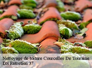 Nettoyage de toiture courcelles-de-touraine-37330 DS Entretien 37