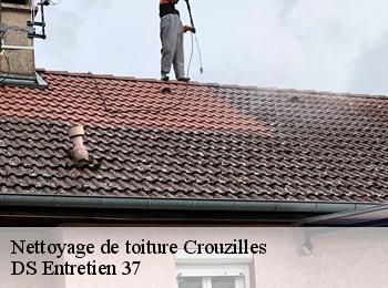 Nettoyage de toiture 37220