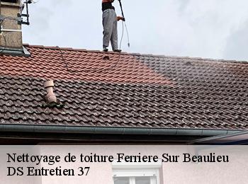 Nettoyage de toiture 37600