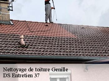 Nettoyage de toiture 37460