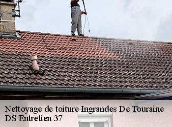 Nettoyage de toiture 37140