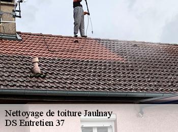 Nettoyage de toiture 37120