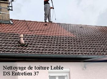 Nettoyage de toiture  37330