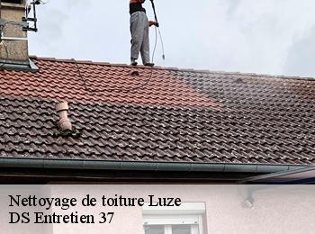 Nettoyage de toiture 37120