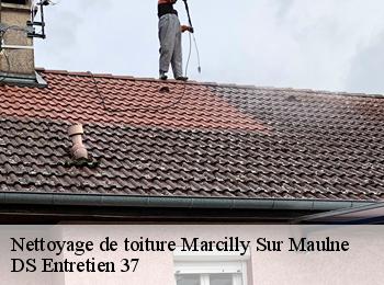 Nettoyage de toiture 37330